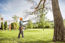 Reliable Chantilly, VA Tree Services Solutions